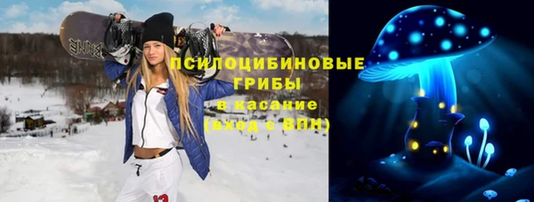 PSILOCYBIN Дмитров