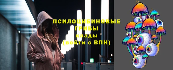 дмт Ельня