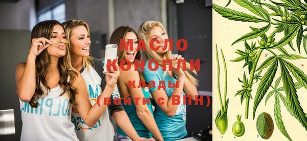 соль ск Елабуга