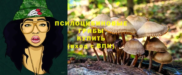 mdma Дмитровск