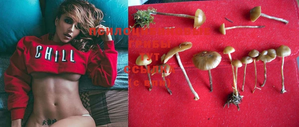 mdma Дмитровск