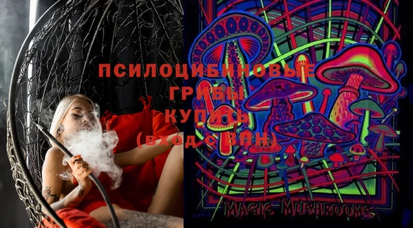 PSILOCYBIN Дмитров