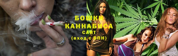 PSILOCYBIN Дмитров