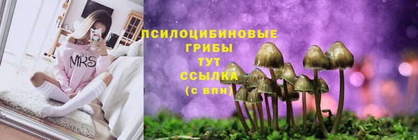 дмт Ельня