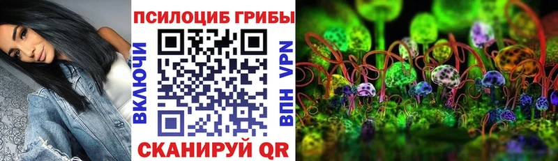 Галлюциногенные грибы прущие грибы  Купить где  Котово 